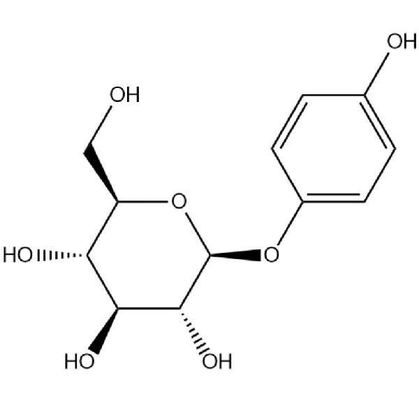 Beta arbutin powder 2.jpg